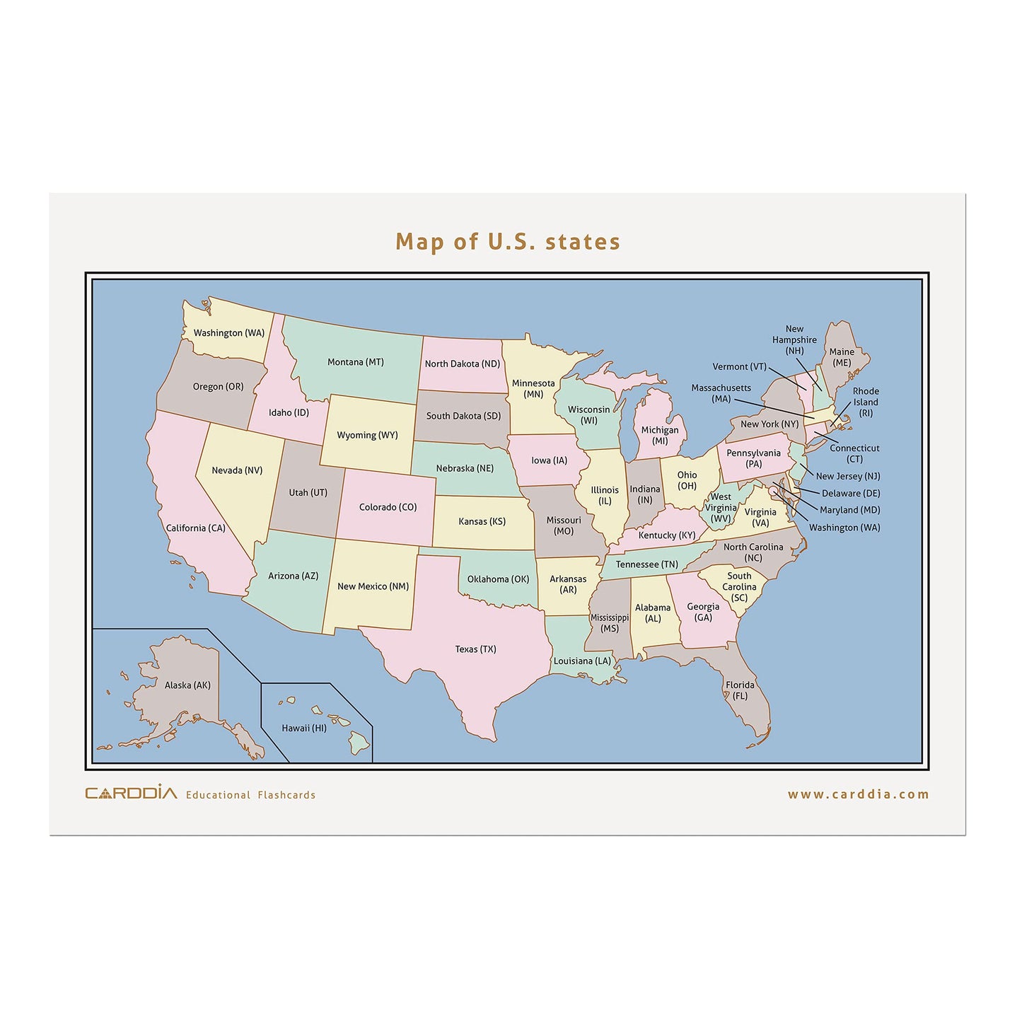 CARDDIA | U.S. State Flags Flashcards | 50 States with Names, Abbreviations, Capitals & Facts | Educational & Durable | Geography Learning Tools for Kids & Adults