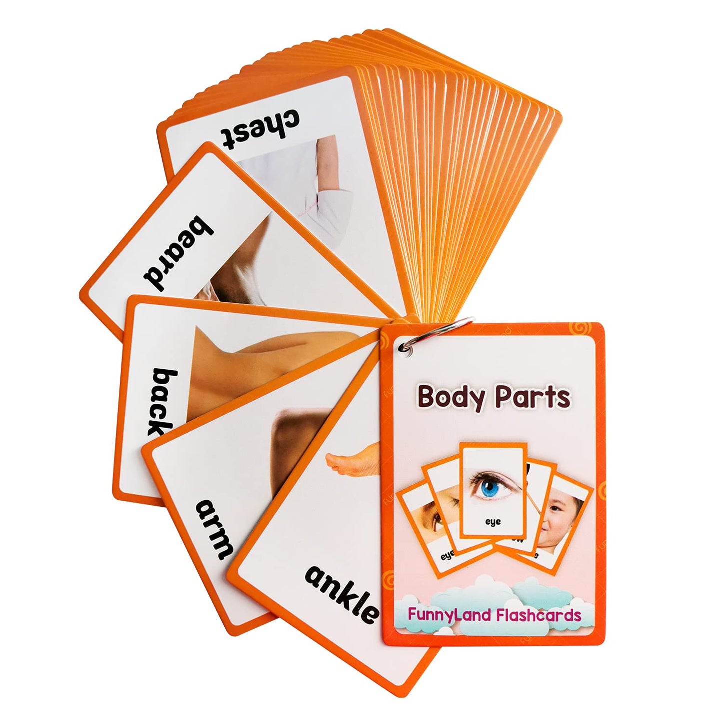 Lilias Colors/Shapes/Body Parts Flash Cards - English Words Learning Pocket Cards for Toddlers, Kindergarten Preschool, 3 Themes Set