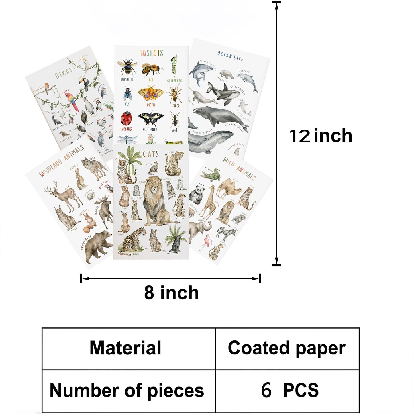 BOLNEY Set of 6 Educational Posters - Kids Wall Art: Wild Animals, Woodland Animals, Birds, Insects, Ocean Life (No Frame, 20x30cm-6pcs)