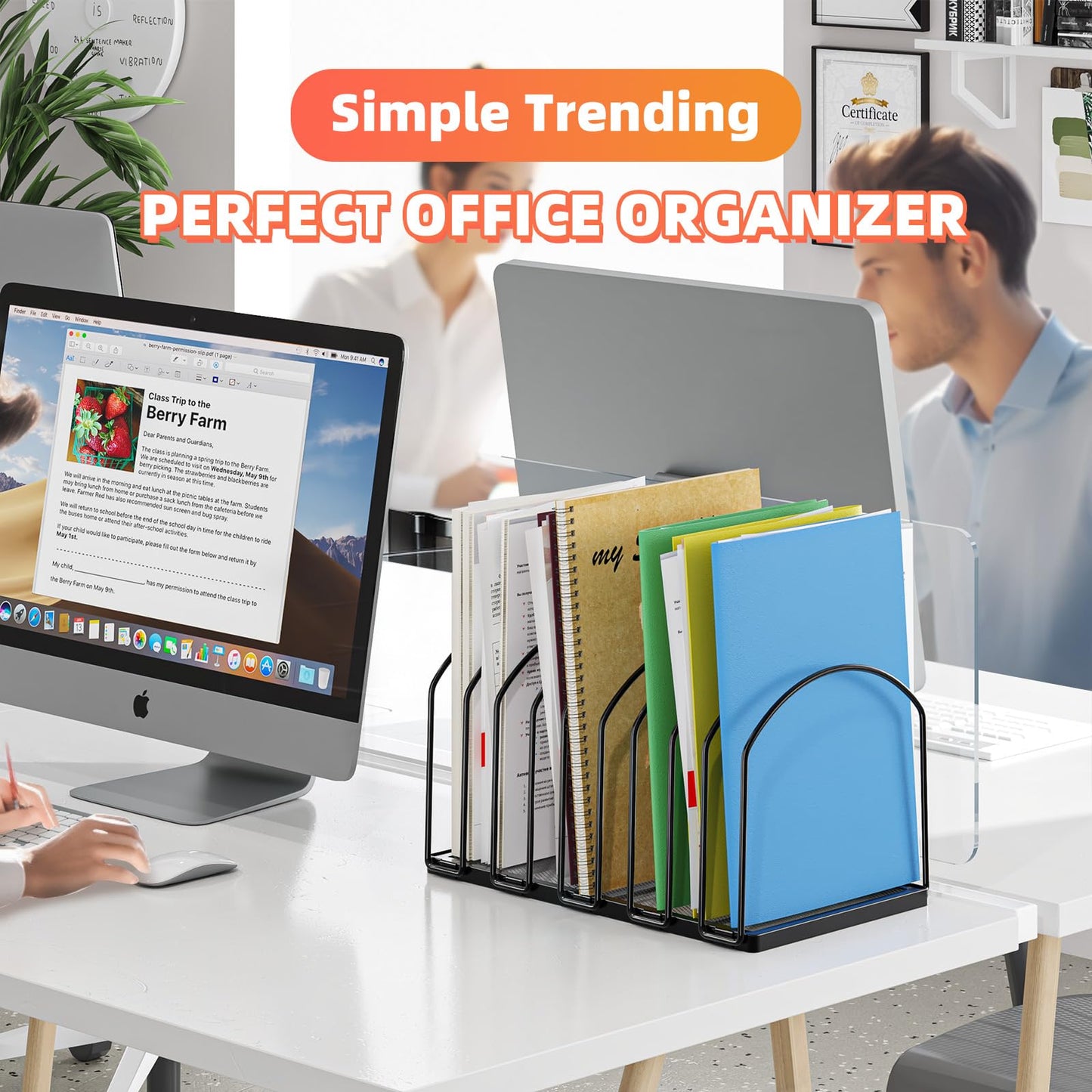Simple Trending 2 Pack 9 Section Metal File Sorter Organizer for Desk Home Office, Black