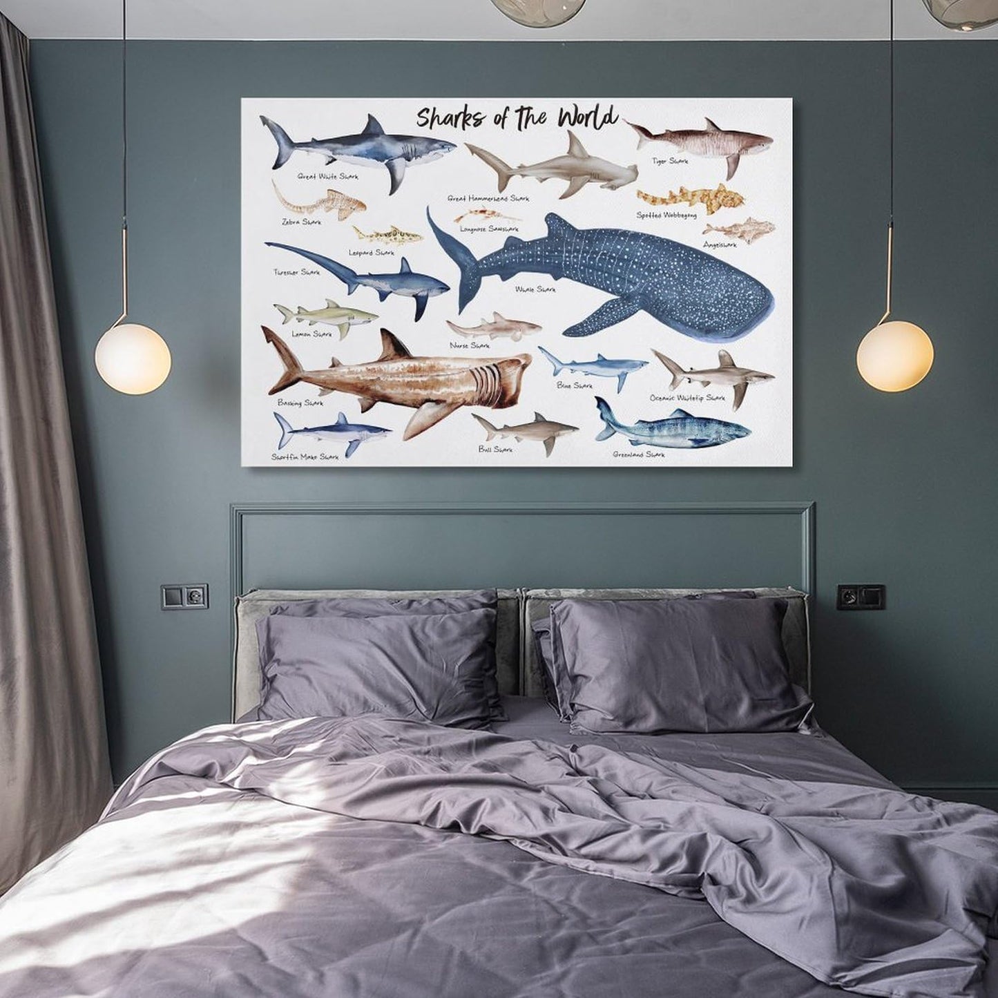 CZOURPVU Types of Shark Poster Shark Educational Chart Poster16x24inch(40x60cm)