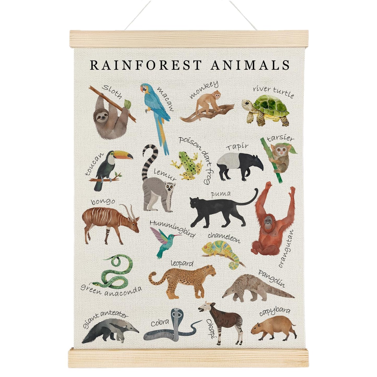 Nrleey Rainforest Animals Wall Art - Educational Poster Hanger Frame, Nursery Decor, 12x16 Inches