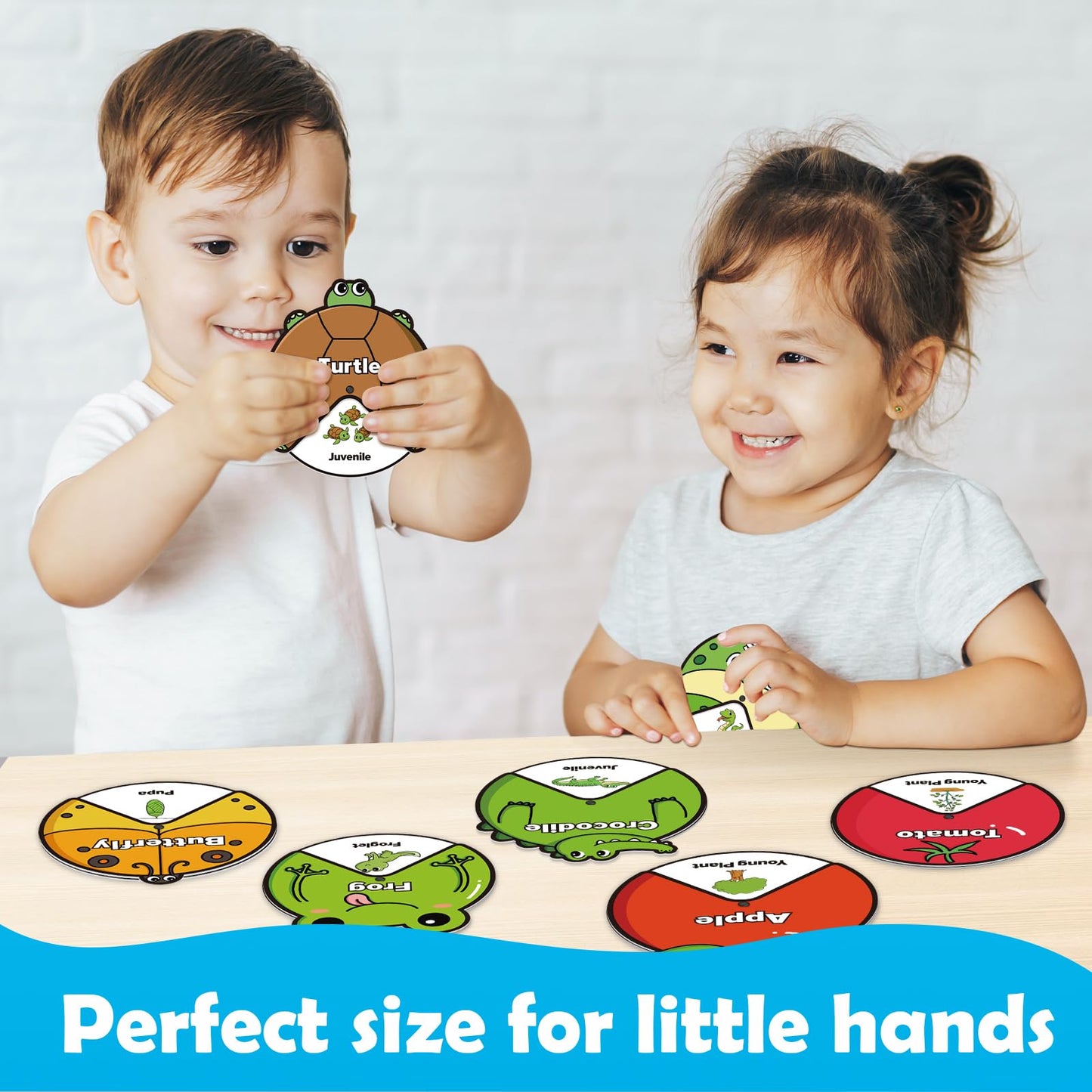 Kasfalci Life Cycle Toys for Kids,Animal Plant Insect Bug Ladybug Butterfly Tadpole to Frog Kit,Montessori Learning & Education Toys,Preschool Science Learning Activities for Toddlers,Board Card Games