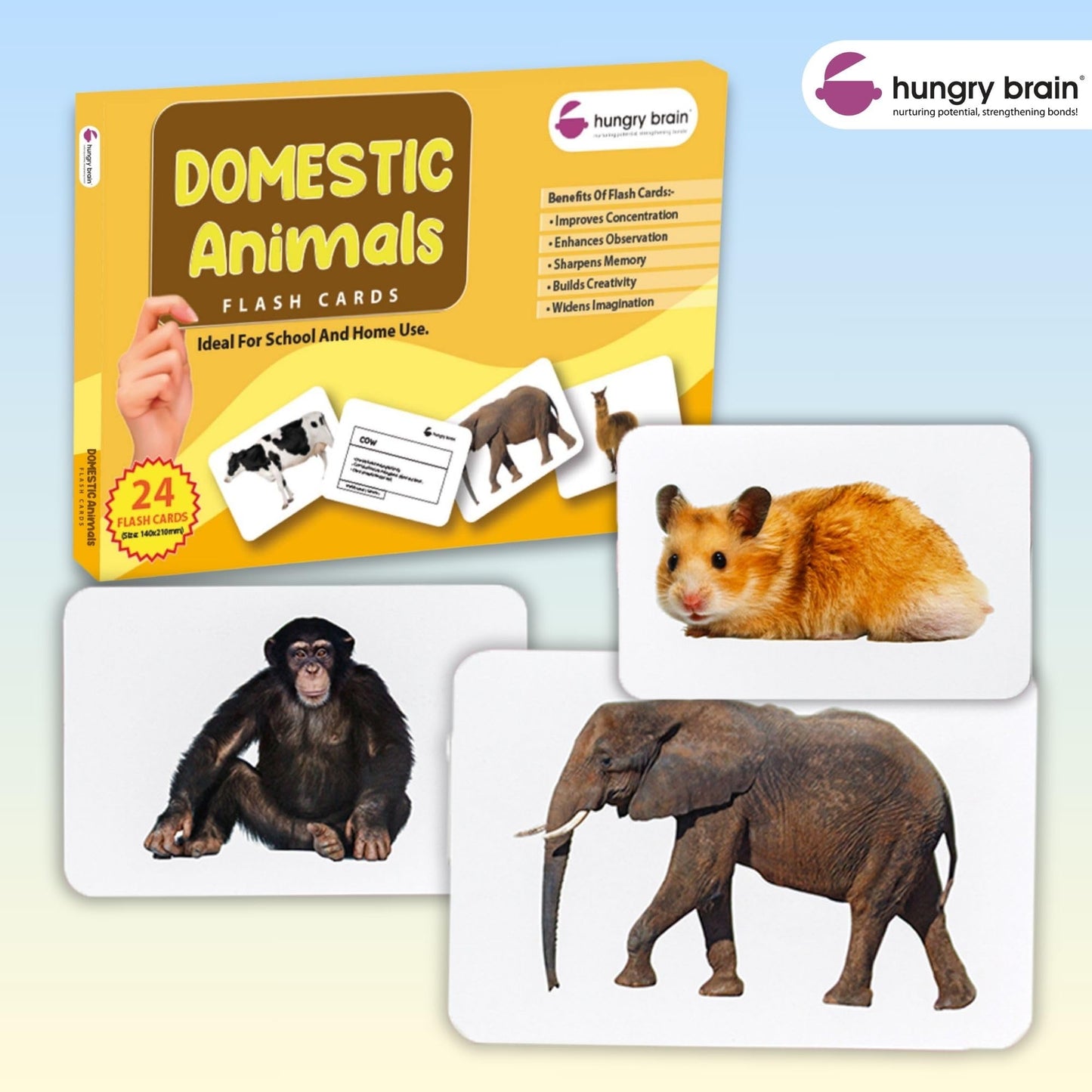 Hungry Brain Domestic Animals Flash Cards for Toddlers Ages 1-6 | Montessori Educational Learning Cards for Babies & Kids | Farm Animal Vocabulary, Preschool Learning & Homeschool