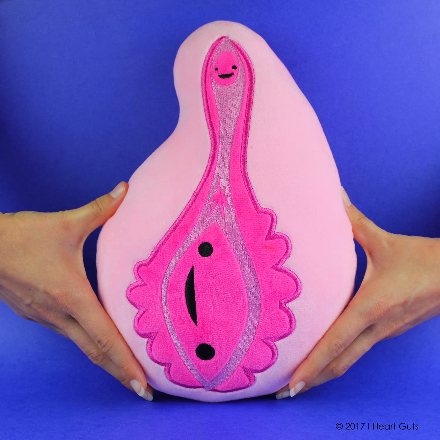 I Heart Guts - The Whole She-Bang Anatomy Bundle - Uterus Ovary Clitoris Vajayjay Placenta Female Anatomy OBGYN Medical Student Menstrual Education