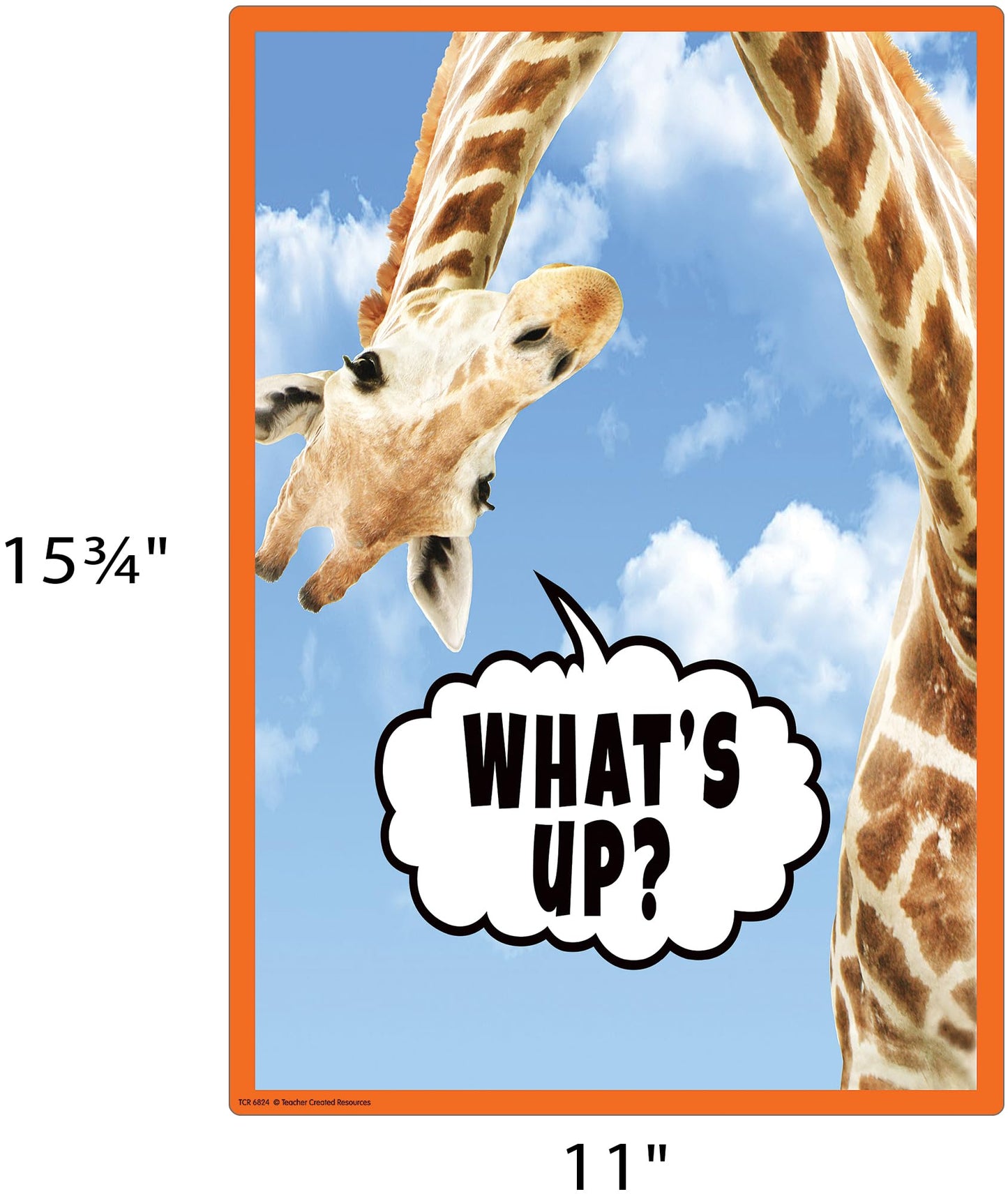 Teacher Created Resources Go Wild Animals Educational Poster Pack (TCR6824)
