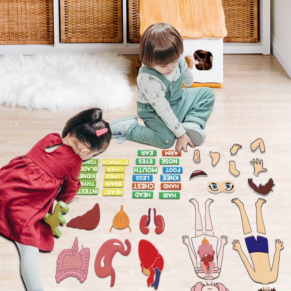 BEUNITONE Body Parts Learning Felt Story Board for Family 48 Pcs Large Preschool Human Organ Name Words Useful Felt Story Board Set Wall Activity for Birthday Christmas New Year Gifts