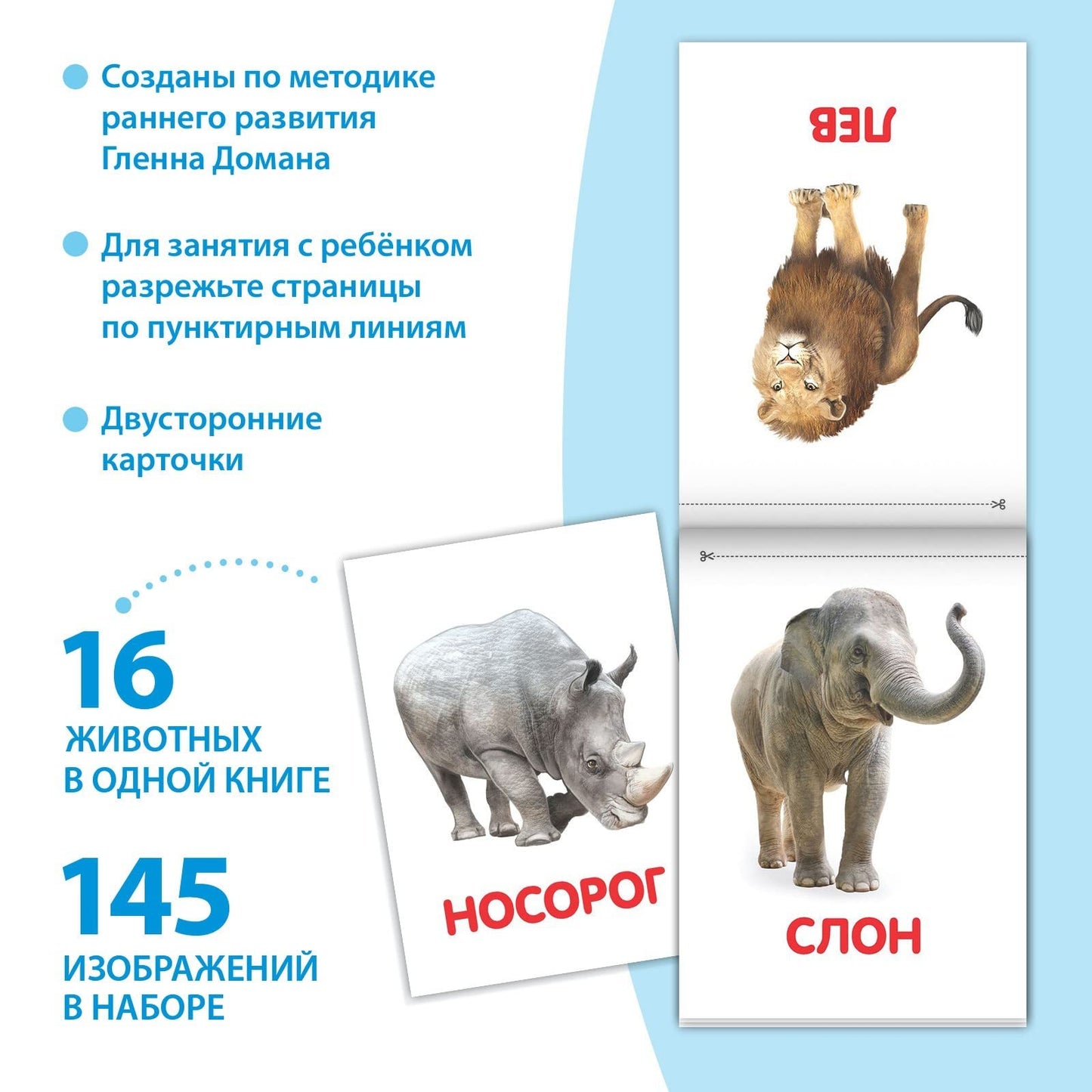 Doman Method Flashcard Russian Book Set for Learning Set - 8 Topics from Farm Animals to Alphabet - Карточки Домана - Книги на Русском Языке