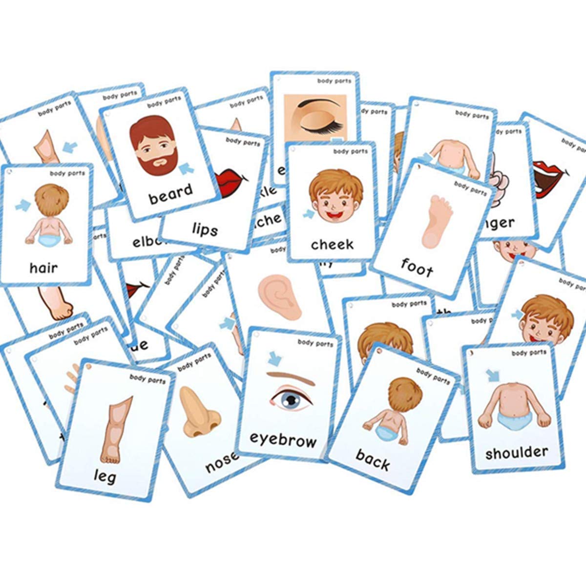 Set of(Body Parts+Illness) Flash Cards for Toddlers | Kids Learning Montessori Pocket Cards Toys | Perfect for Pre-K Decorations Background Wall Stickers,Teacher/Autism Therapists Tools