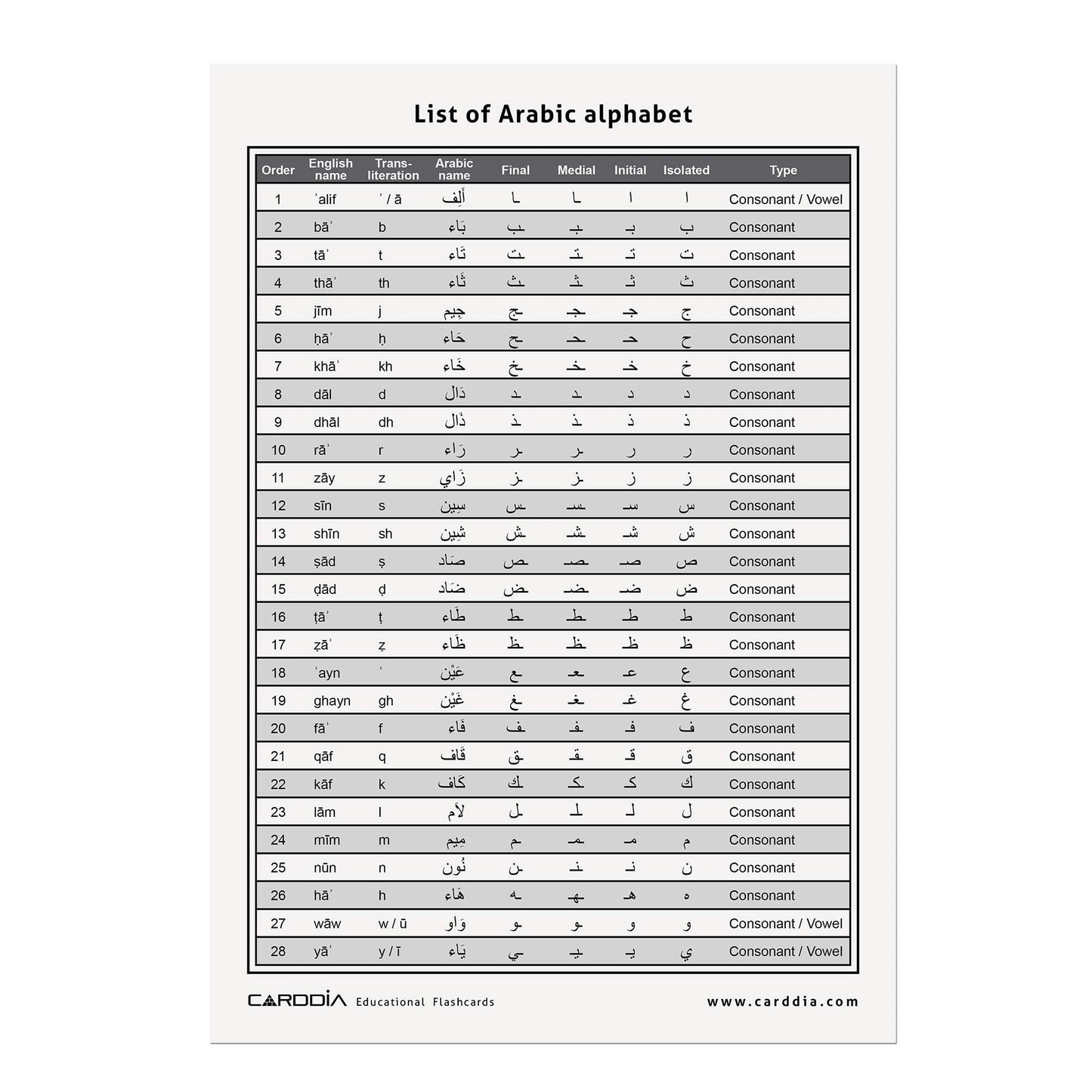 CARDDIA | Arabic Alphabet Educational Flashcards | Includes Consonants, Vowels, Diacritics and Numerals | Ideal for Arabic Language Beginners