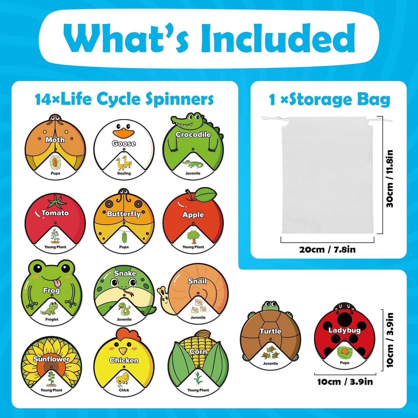 Kasfalci Life Cycle Toys for Kids,Animal Plant Insect Bug Ladybug Butterfly Tadpole to Frog Kit,Montessori Learning & Education Toys,Preschool Science Learning Activities for Toddlers,Board Card Games