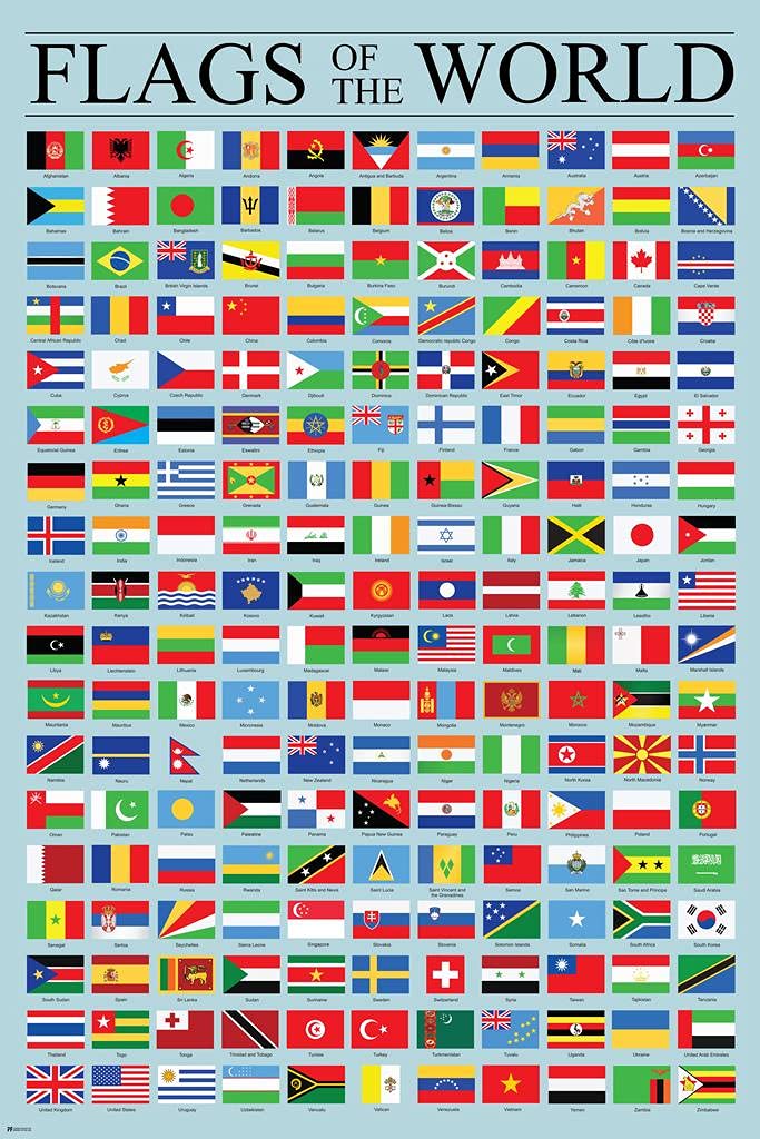 Flags of the World Poster Geography Classroom Decor International Country Reference Chart Cool Wall Art Print Poster 24x36