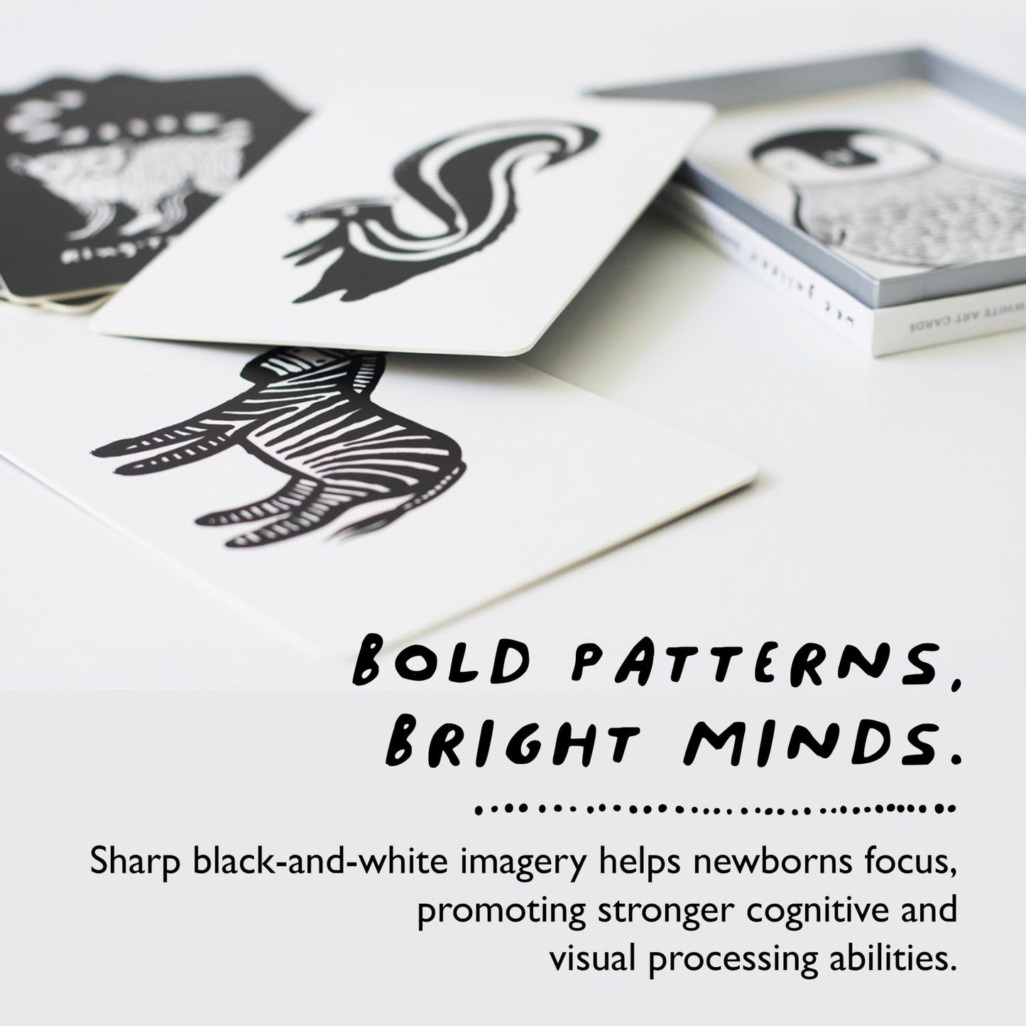 Wee Gallery Art Cards for Baby, Durable High Contrast Black and White Animal Flashcards for Newborns, Brain Development, Sensory Toys, Tummy Time Essentials for Infant and Toddler - Rainforest Animals