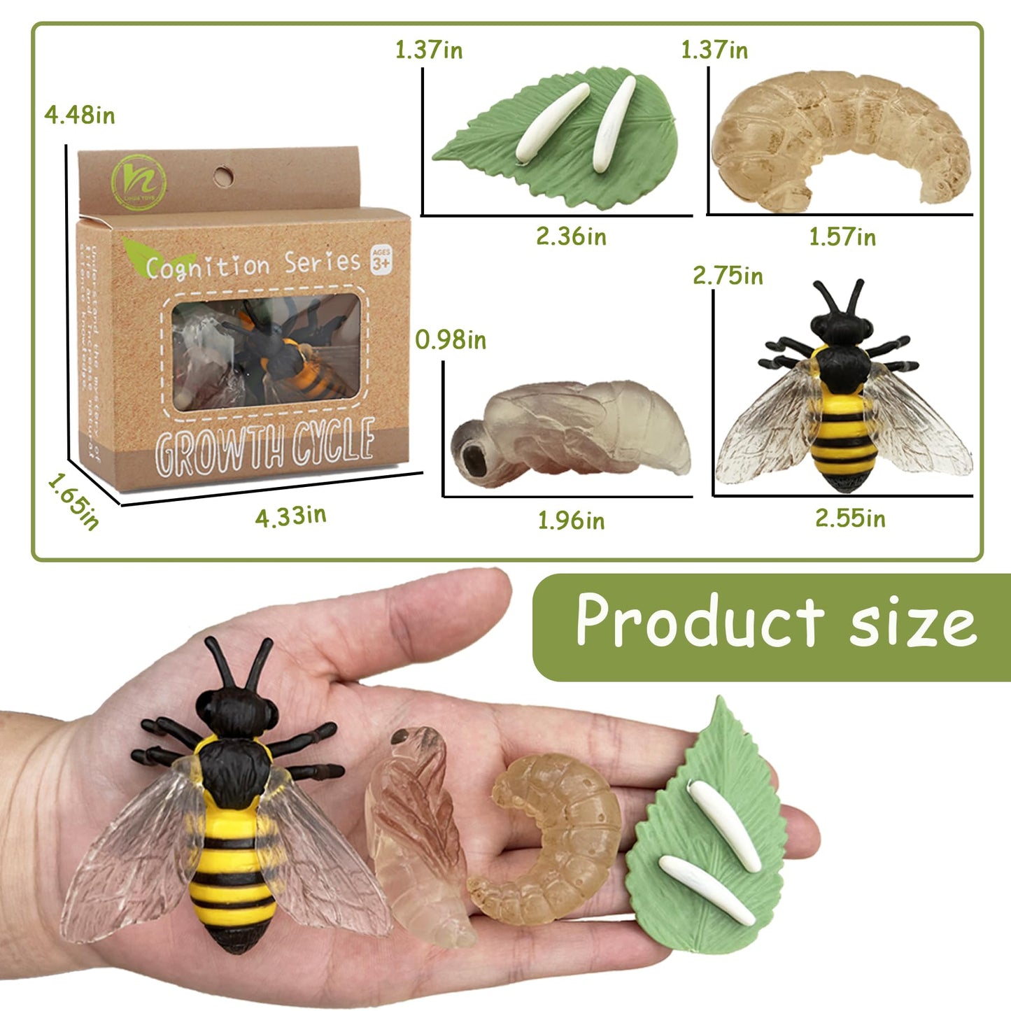 Mbrain 4pcs Bee Growth Cycle with Flash Cards,Life Cycle Learning & Education Toys,Montessori Toys,Gift for Girl & Boy for 3 4 5 6 7 Year Old (Bee)
