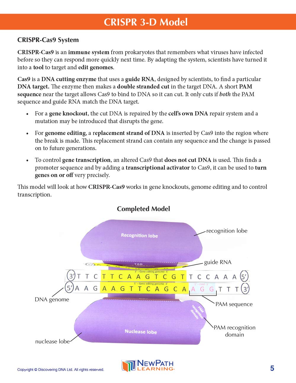 CRISPR 3-D Paper Model Making Kit - Individual Student Edition (17-7717)