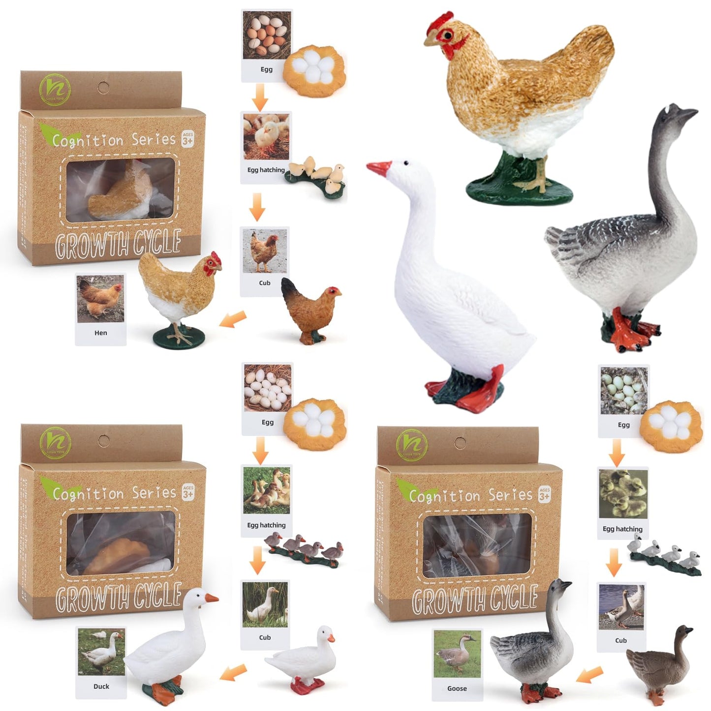 MIKNEKE Montessori Life Cycle Animal Figurines Learning & Education Toys, Plastic Insect Life Cycle Toys for Kids, Preschool Learning Activities for Toddlers (Hen Goose Duck)