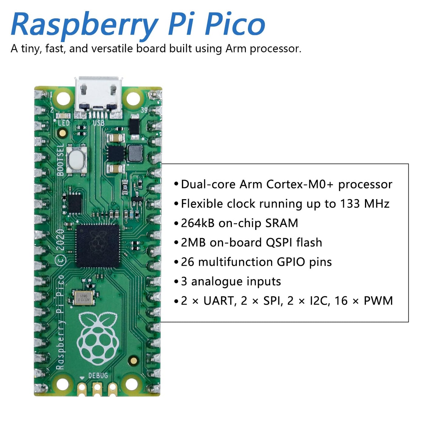 Freenove Bipedal Robot Kit for Raspberry Pi Pico (Included) (Compatible with Arduino IDE), LED Matrix Expressions, Obstacle Avoidance, Colorful Lights, Buzzer, Speaker, App