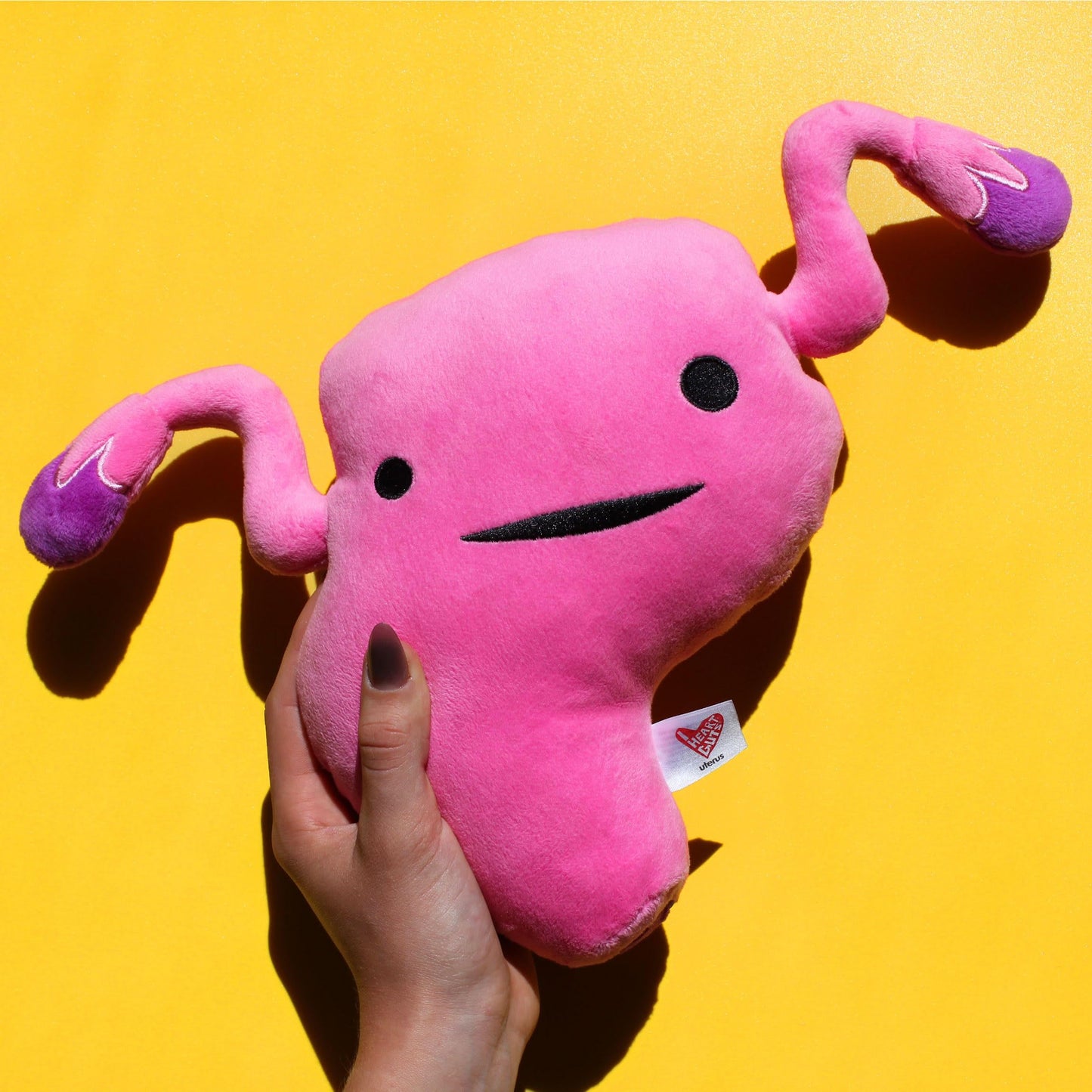 I Heart Guts - The Whole She-Bang Anatomy Bundle - Uterus Ovary Clitoris Vajayjay Placenta Female Anatomy OBGYN Medical Student Menstrual Education