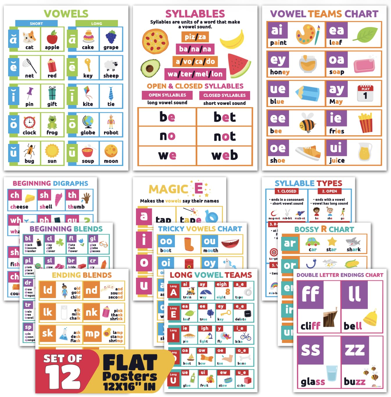 Sproutbrite 12 Pack (12"x16") Educational Poster Bundle for Toddlers Phonics Vowels Poster Language Arts Charts for Preschool, Homeschool Motivation - Inspired Learning Charts that Helps Toddlers Understand Vowel Sounds and Syllable Patterns Easily
