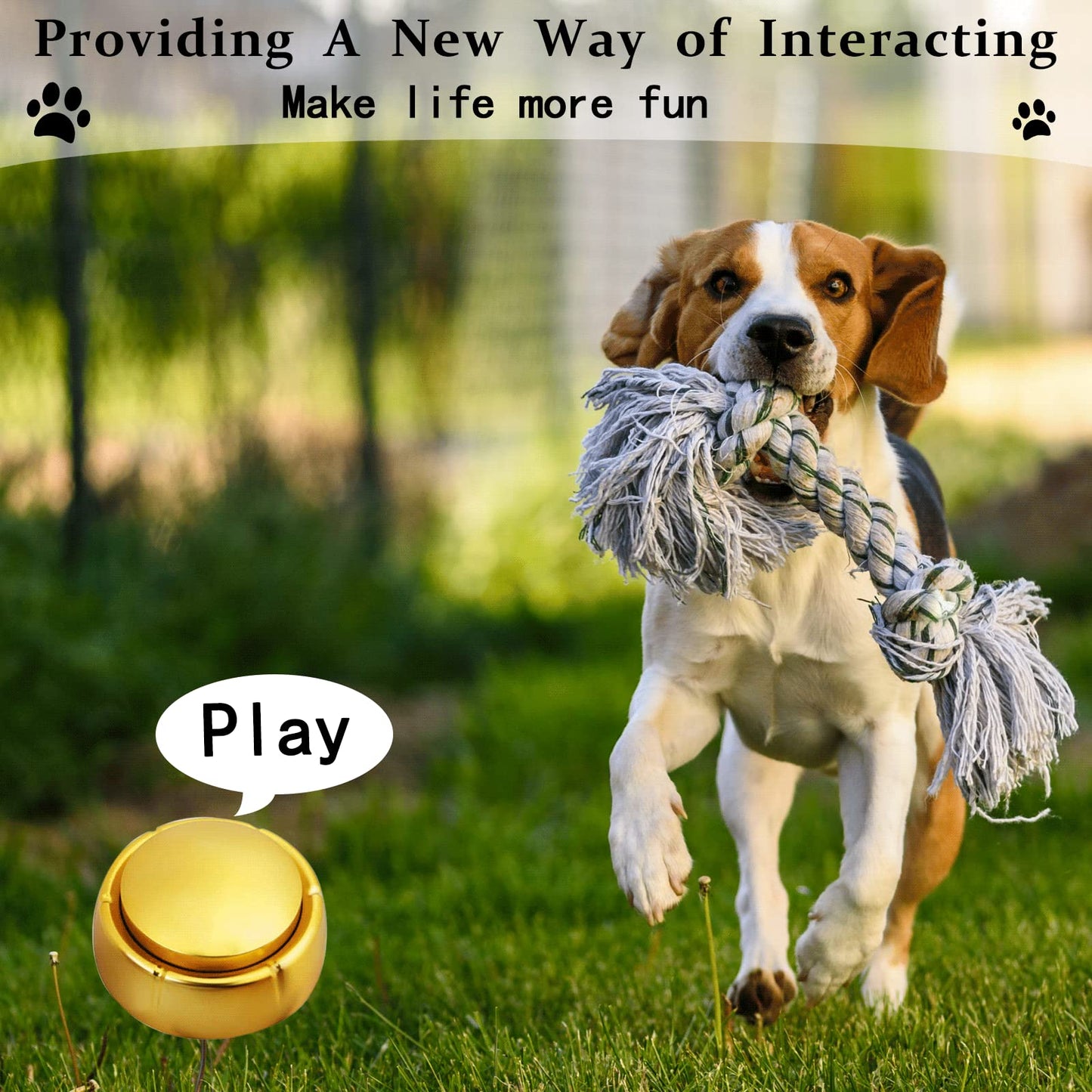Jusocc Gold Recordable Button - Easy 30 Sec Talking Button Easy Button Answer Buzzers Custom Sound Button for Dogs Training Classroom Study Office Home Game