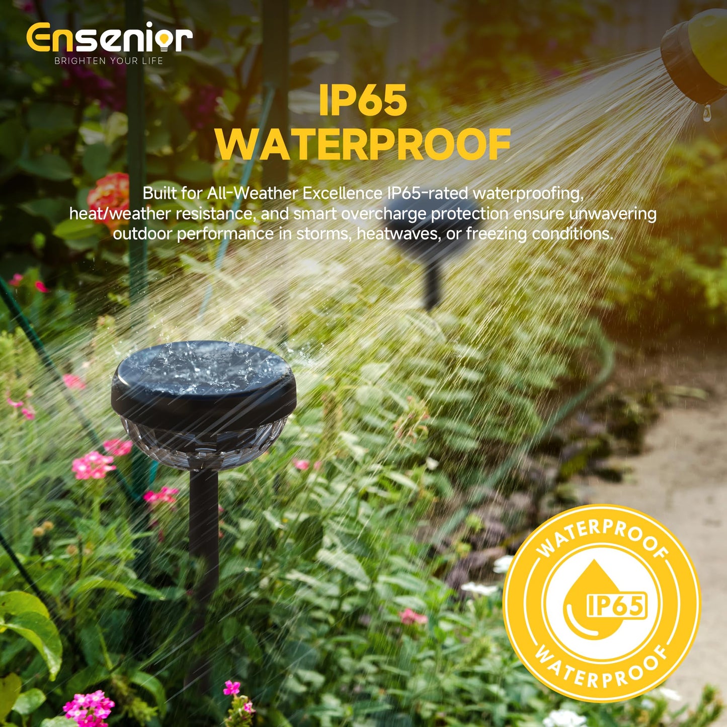 Ensenior Solar Garden Lights, 3000K White & RGB, Waterproof, Energy-Efficient, Pack of 8, Model CP4-12CM-30K-08-BL-RGB
