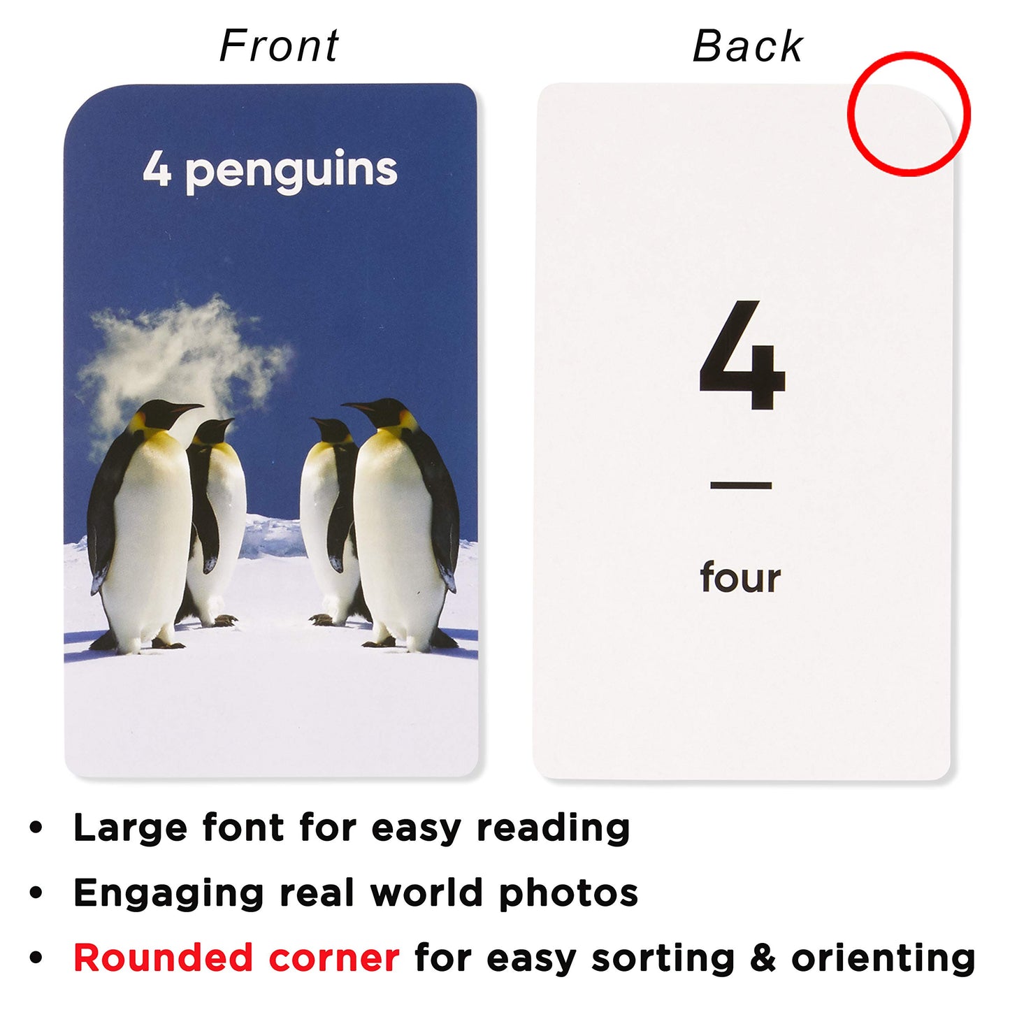Award-Winning Numbers & Counting Flash Cards for Kids Ages 2-8 – Learn Counting 0-100, Number Recognition & Basic Math – 36 Durable Cards with Real Images for Preschool to Kindergarten