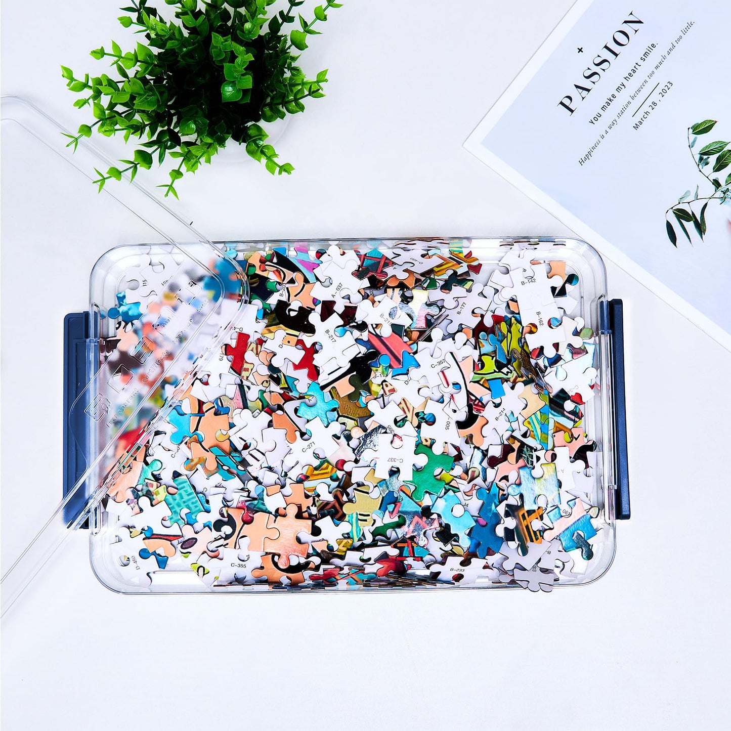 CATOOMUU Clear Portable Slim Project Case 9 X 13 Plastic Storage File Box For Letter A4 Paper Photo Documents Scrapbook, 3 Count