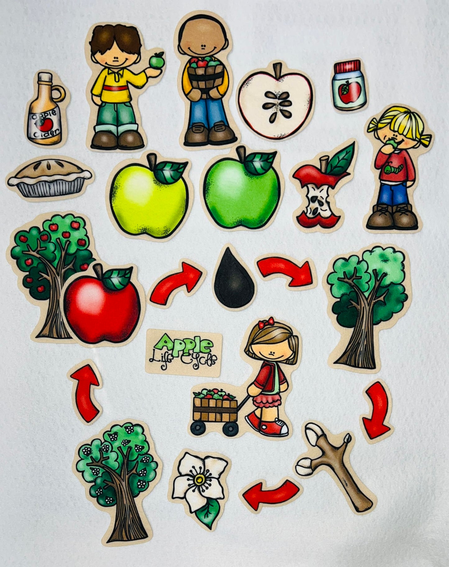 24 Piece Apple Life Cycle Felt Set Flannel Board Story Fruit Storytelling Teaching Activity