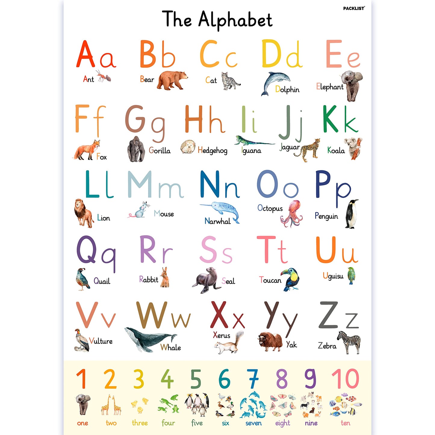 PACKLIST XL Alphabet Poster for Kids – Large 24" x 33" ABC Wall Chart – Extra-Thick 170 GSM Heavyweight Paper – Animal Learning Poster for Toddlers, Preschool & Classroom Decor – Plastic-Free