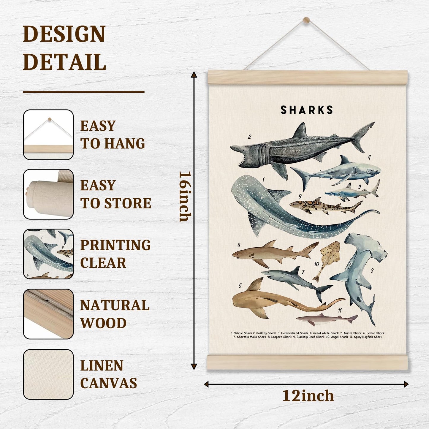 DOI-LANEE Shark Poster Hanger Frame, Set of 2 Shark Canvas Wall Art 16x12 Inch, Kids Educational & Learning Posters, Ocean Room, Sea Animal Decor for Playroom Classroom, Ocean Animals Wall Decor