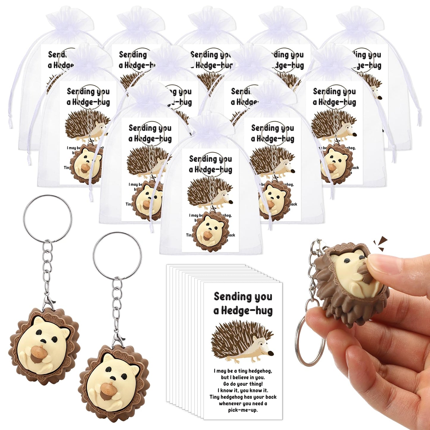 Gerrii 24 Sets 3D Hedgehog Fidget Keychains with Inspirational Cards Bulk 3D Hedgehog Press Stress Relief Sensory Keychain Gifts Employee Appreciation Positive Gifts for Coworkers Teacher