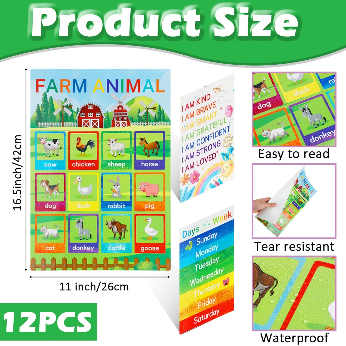 Educational Posters for Elementary Preschool Kindergarten Classroom Learning, Preschool Learning Posters for ABC Alphabet, Time, Number, Months,Colors, Weather, Animals, More, 16.5x11 Inch (12P Style B)