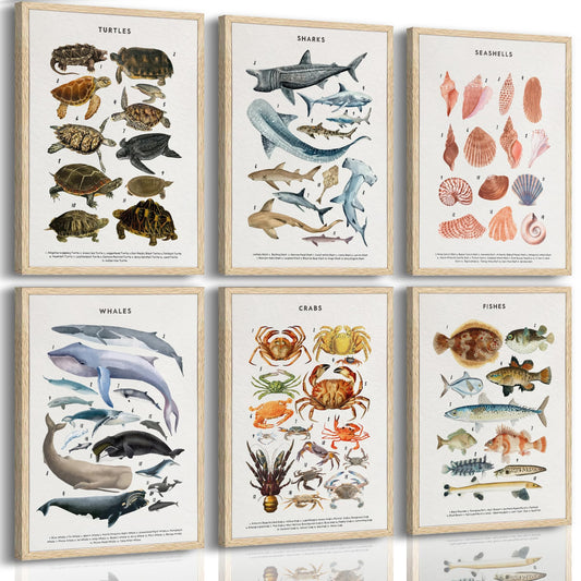 PeuYot Marine Life Wall Art, Set of 6 Educational Ocean Animal Prints, Unframed Canvas Posters, Vintage Sea Turtle Whale Shark Crab Seashell Fish Wall Decor for Bathroom Bedroom Classroom 12x16in