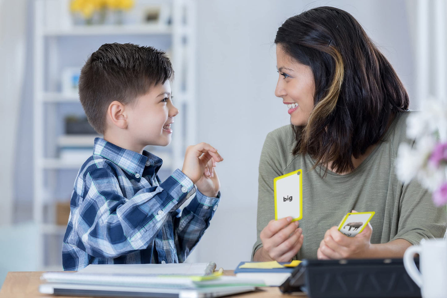 Teacher Created Resources Opposites Flash Cards