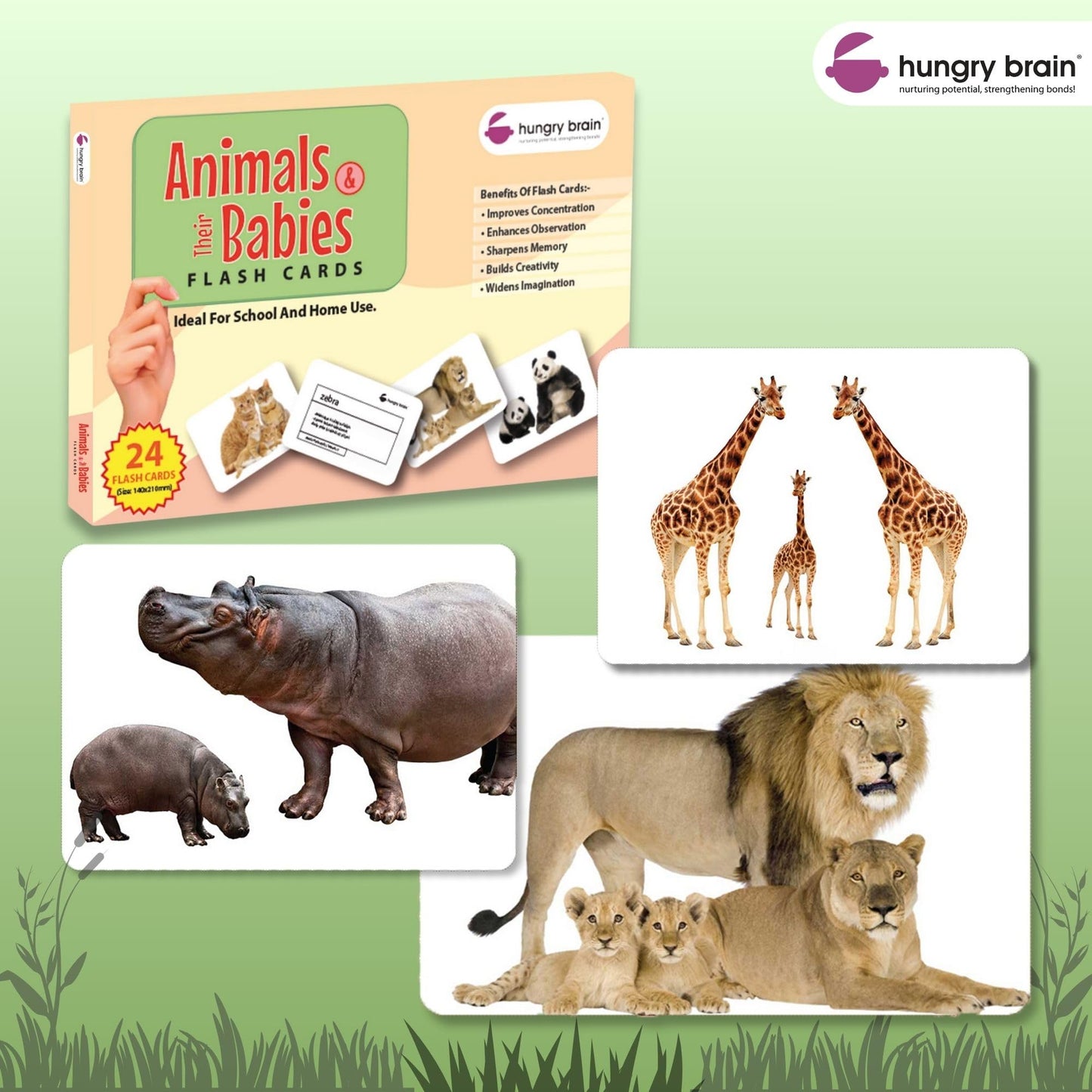 Hungry Brain Animals & Their Babies Flash Cards for Toddlers Ages 1-6 | Montessori Educational Learning Cards for Babies & Kids | Animal Names, Baby Animals Vocabulary & Preschool Homeschool Activity