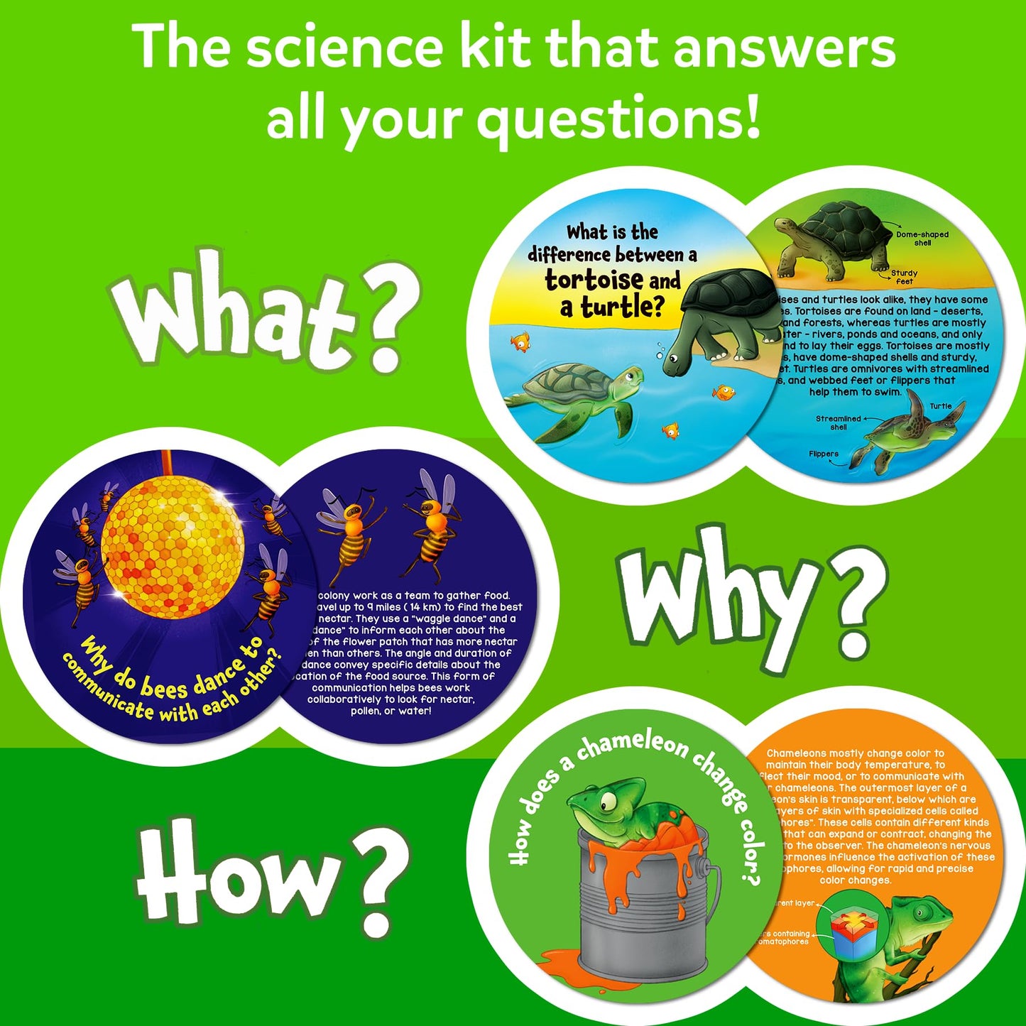 Skillmatics Flash Cards - Science Snippets Animals, STEM Learning Educational Toys & Learning Aids for Kids, Gifts for Boys & Girls Ages 7, 8, 9 & Up, Homeschool, Classroom & Travel Activity