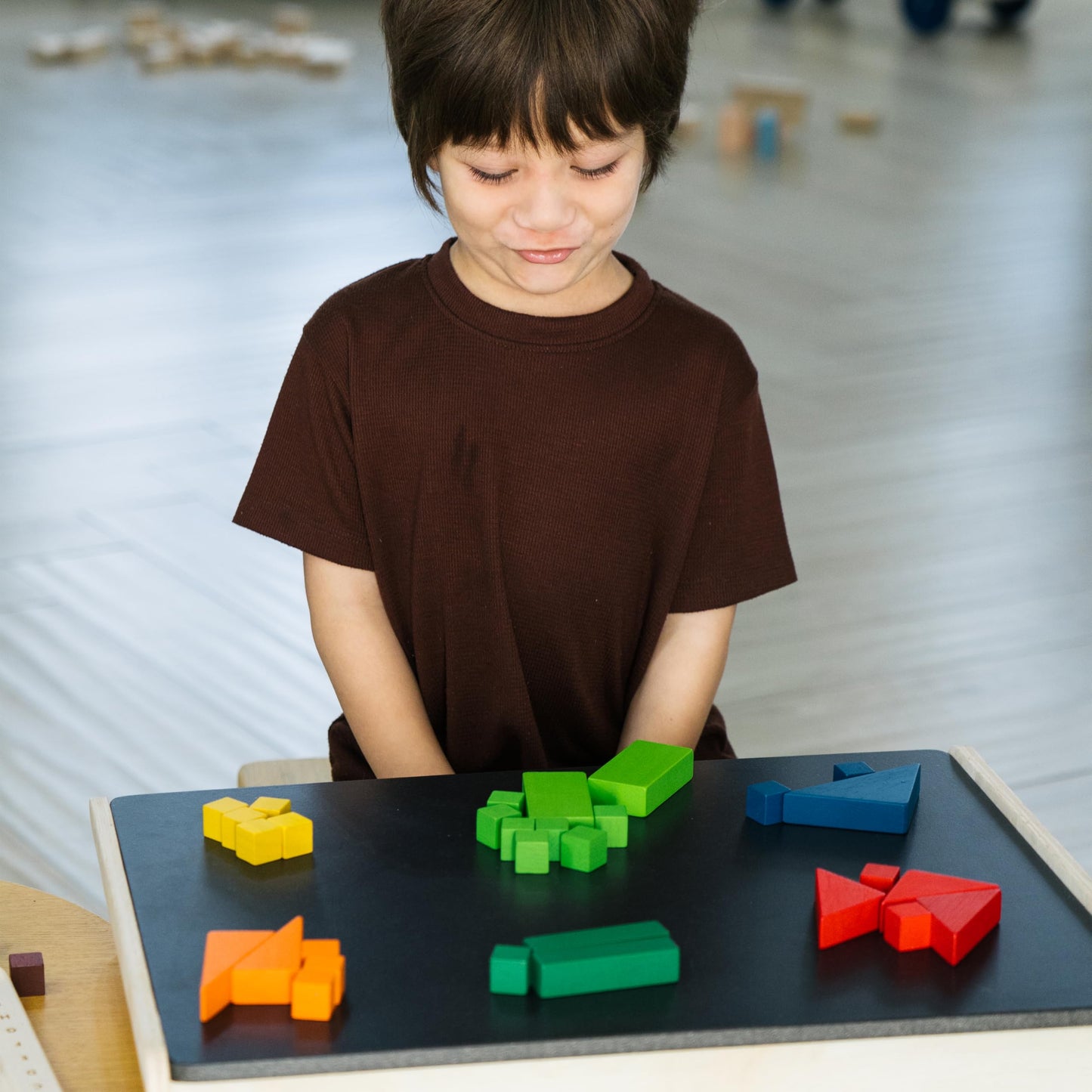 PlanToys® Fraction Blocks Wooden Montessori Early Math and Logic Toy | Fraction Learning, Shape Recognition and Sorting Activity | Eco Friendly Colourful Block Set