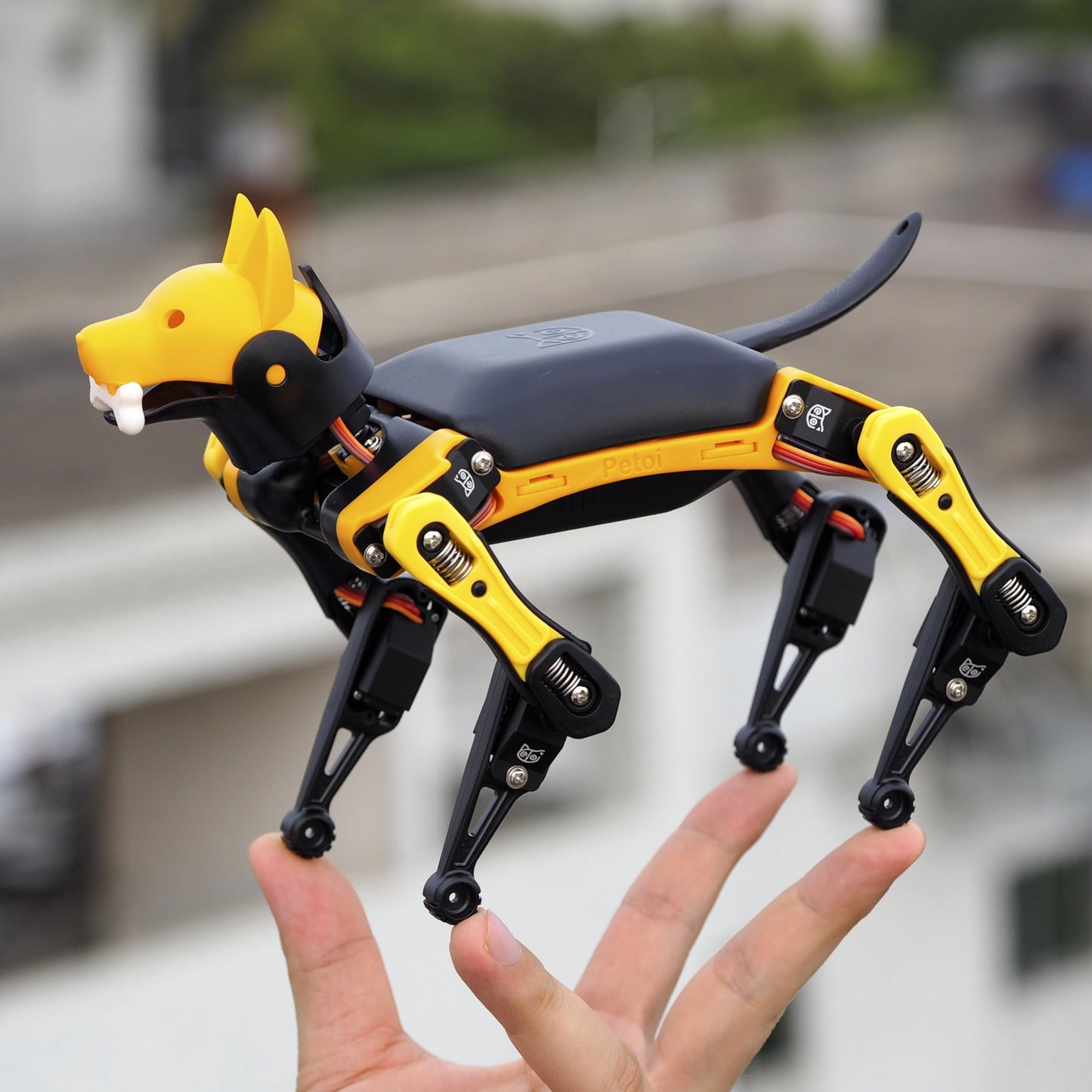 Petoi Programmable Robot Dog Bittle X V2 Alloy Servo (Pre-Assembled) | Coding Smart Robot Dog Kit, Voice Controlled, Quadruped Interactive Robot for Kids, Open Source, STEM & Robotics Education