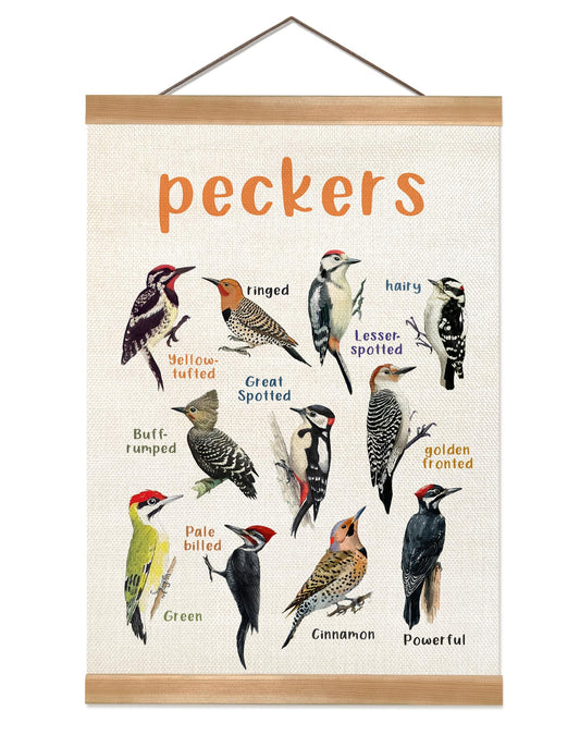 Vintage Birds Wall Art –Wall Hanging Poster with Solid Wood Frame, Linen Canvas Bird Illustration Poster, Birds Wall Decor for Bird lovers,Home, Classroom, and Kids' Room Decor 12x16inch (Peckers)