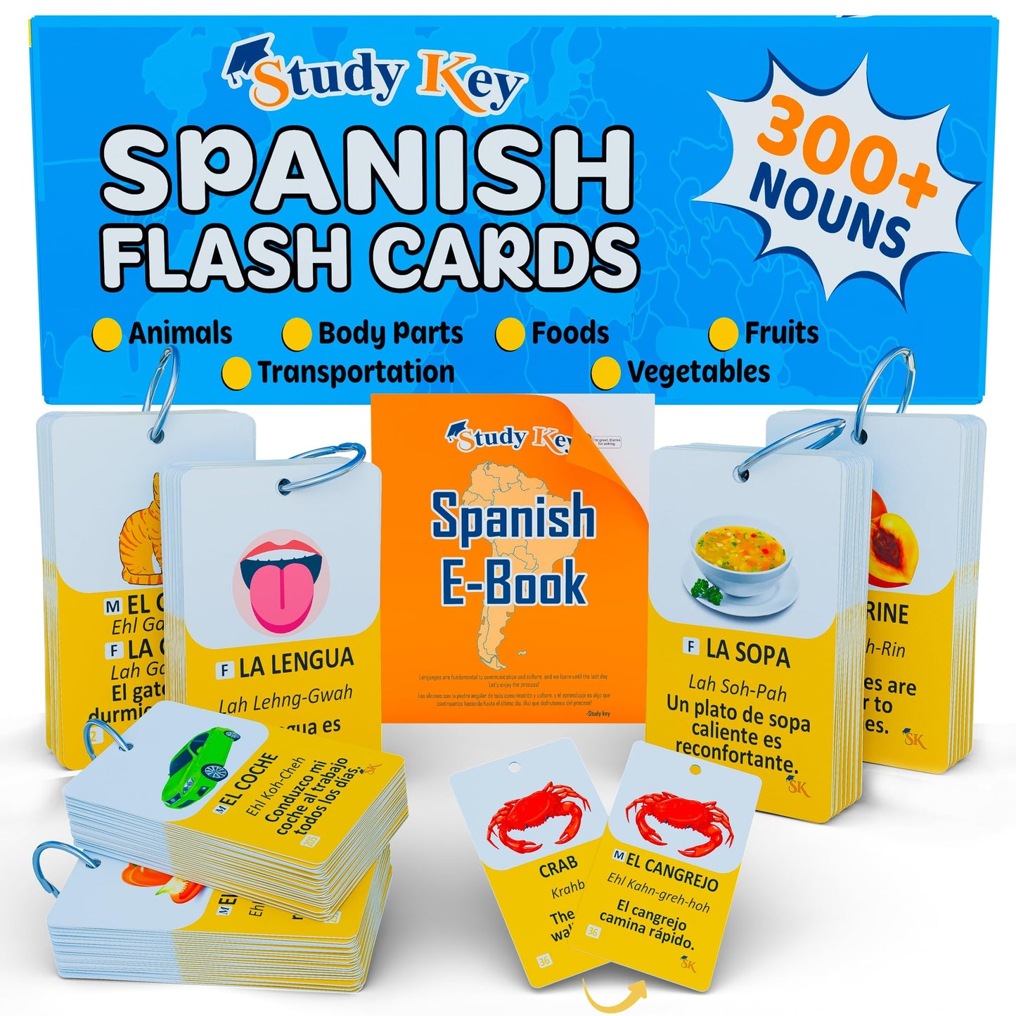 300 Bilingual English Spanish Flash Cards for Adults & Kids Ages 12+ Beginners - Noun Vocabulary with Pictures, Pronunciation, Sentences, Adult Self Study & Learn Spanish Workbooks for Adults