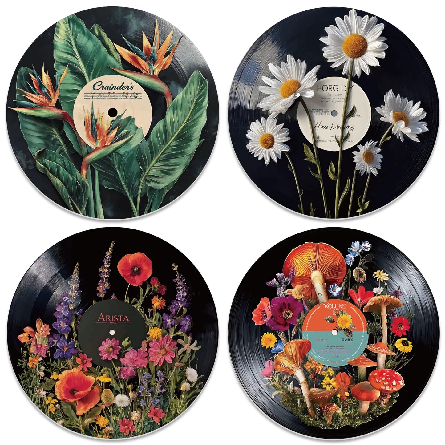 DOODLREAM 4PCS Botanical Vinyl Record Wall Decor 12" Hippy Plant Leaf Wall Art Posters for Room Aesthetic, Mushroom Daisy Flower Retro Record Decor for Music Party Studio Living Room DIY Craft Project