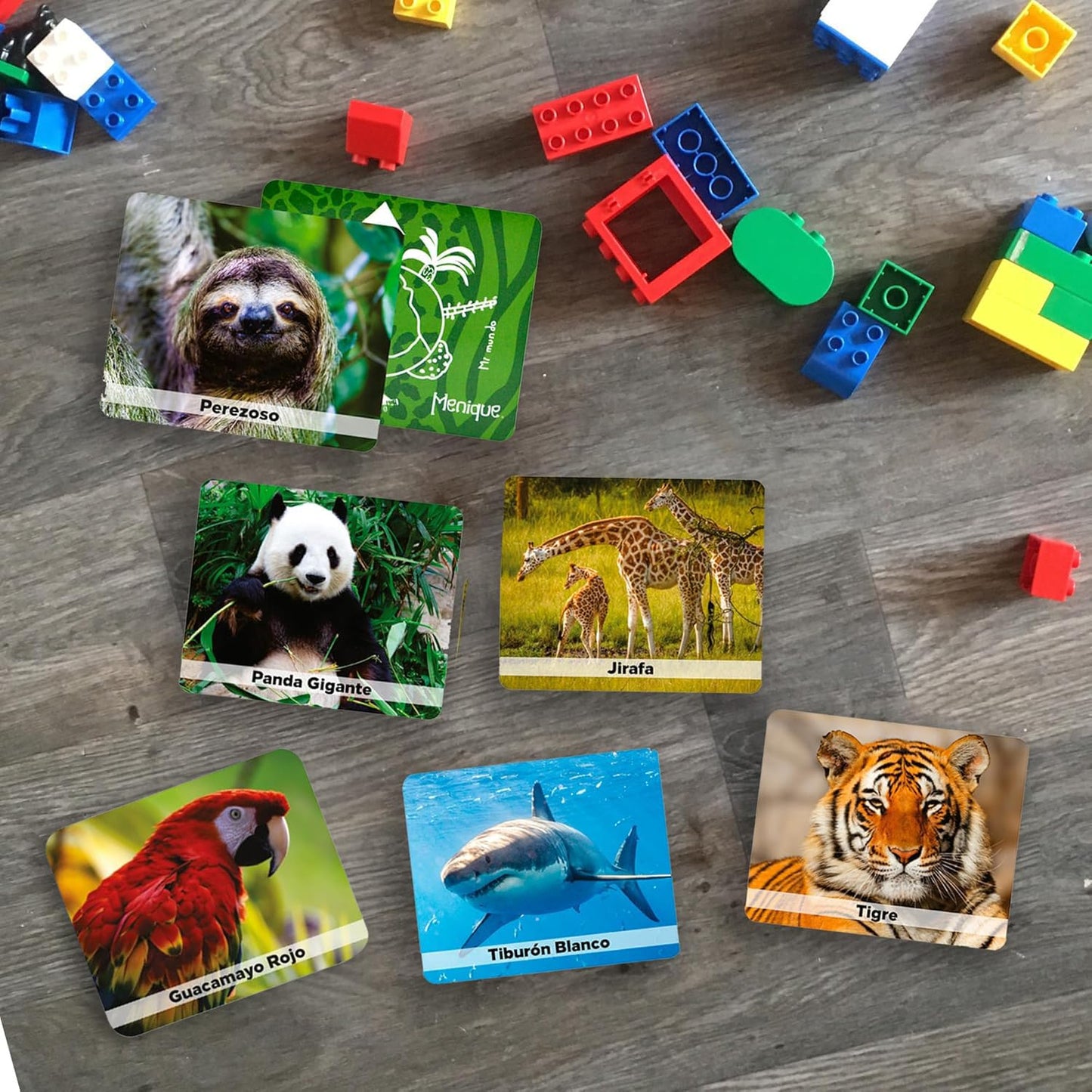 Menique Wild Animals Memory Matching Game – 80 Cards (40 Pairs) with Real Photos – Includes Educational Booklet with Animal Facts – Fun & Cognitive Game for Kids and Adults