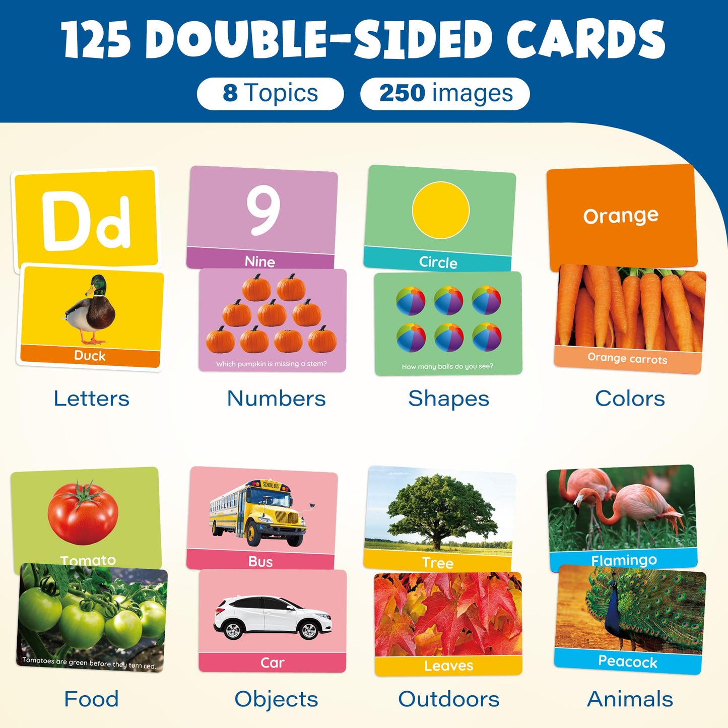 BenBen Flash Cards for Toddlers, Extra Thick, 250 Images, Double-Sided Educational Flashcards, Alphabet, Number, Animal, Shape, Color, Preschool Learning Activities, Gift for Kids 1 2 3 4 Years