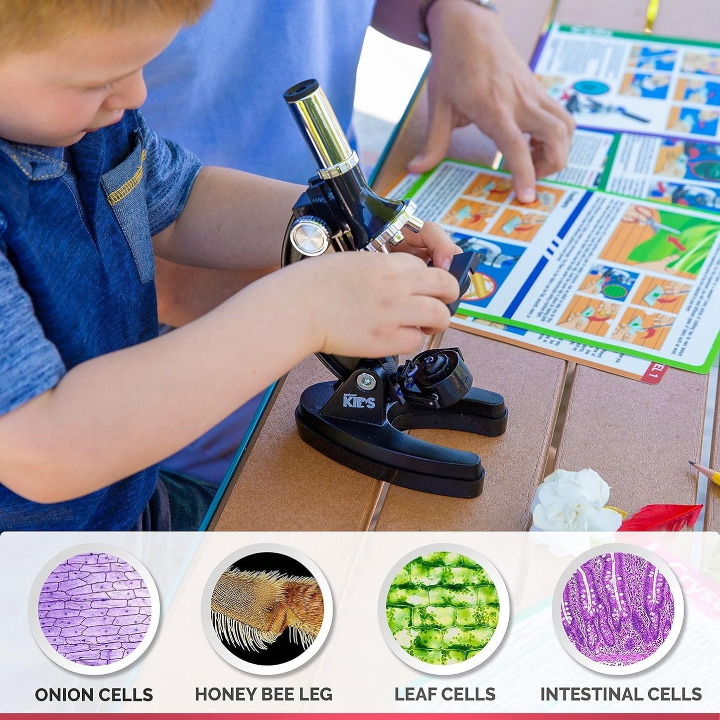 AmScope M30-ABS-KT1-WM 120X-240X-300X-480X-600X-1200X Educational Metal Arm Kids Compound Microscope Kit + Book