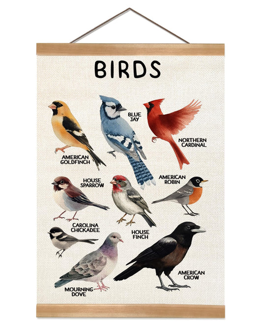 ZTGDA Birds Vintage Wall Art – Hanging Poster with Solid Wood Frame, Linen Canvas Bird Illustration Poster,Birds Wall Decor for Living Room Playroom Classroom, Birds Lovers Gift 12x16inch