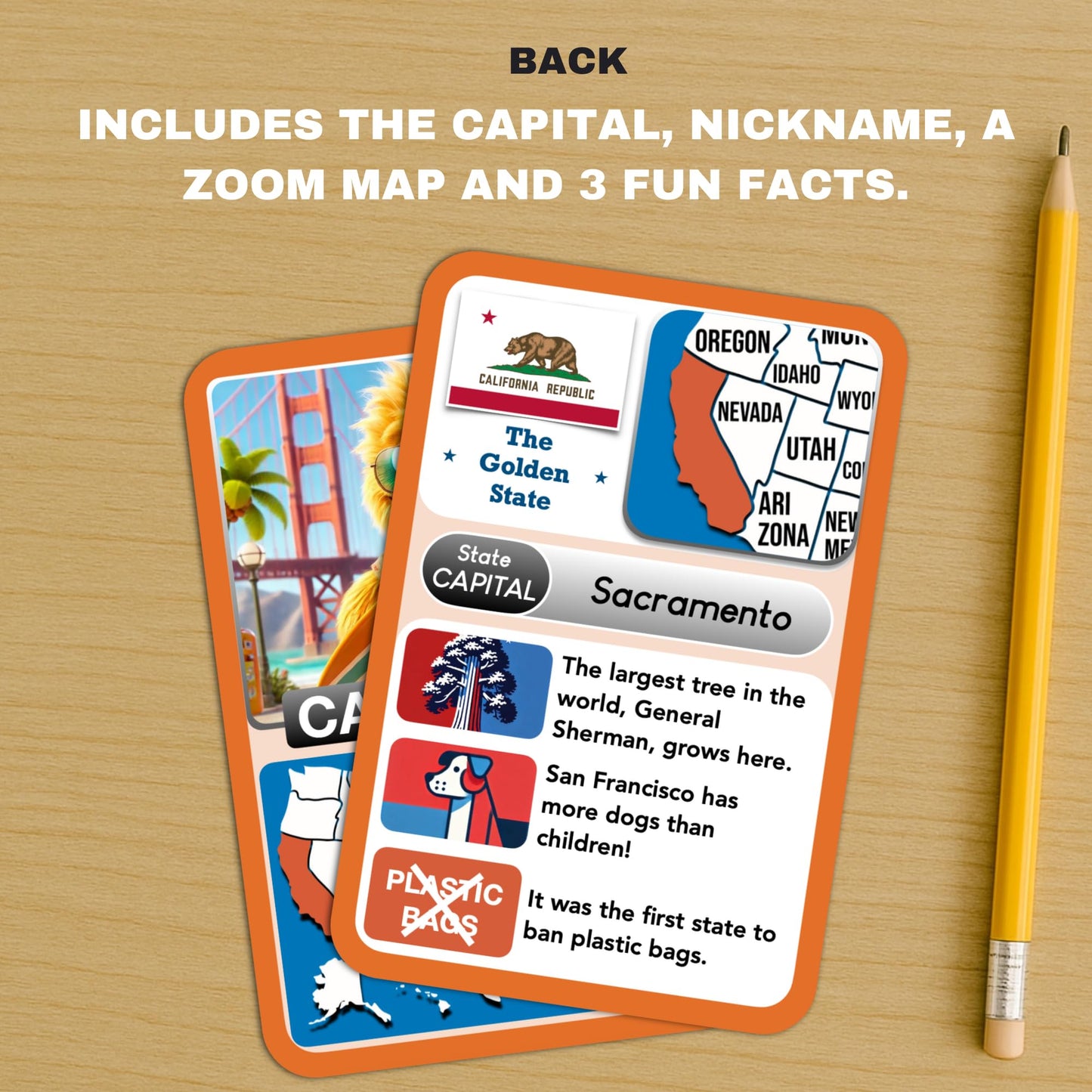 States Explorer – USA State Flashcards for Kids Ages 6+ | 50 United States Cards with Fun Facts, Capitals, Maps & Characters | Educational Geography Game | Perfect for Homeschool, Classroom & Travel