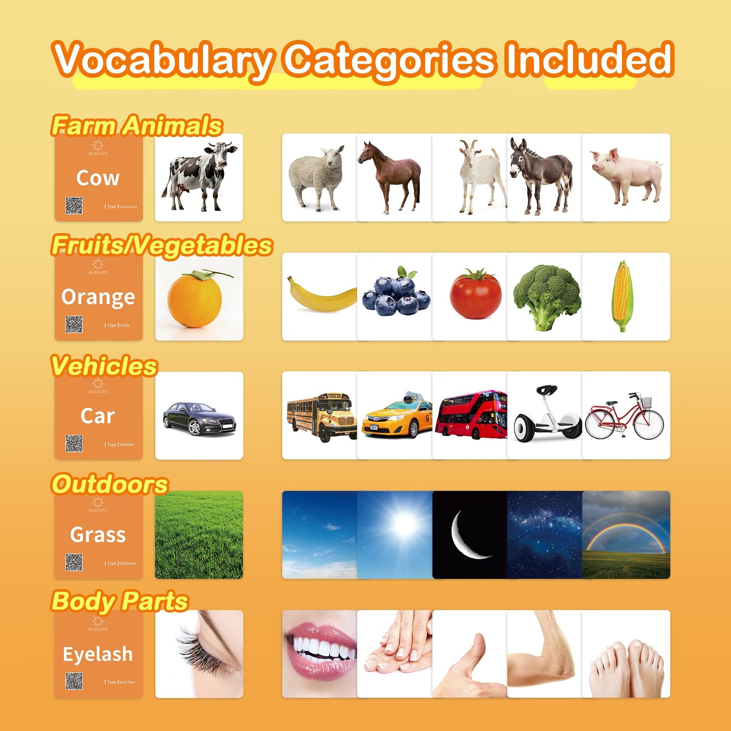 ALSOLIFE 80 Nouns Flash Cards for Toddlers 2-3, Key Vocabulary Flashcards, Sturdy & Durable Realistic Picture Cards for Speech Therapy, Autism Flash Cards for ABA Therapy and Special Education
