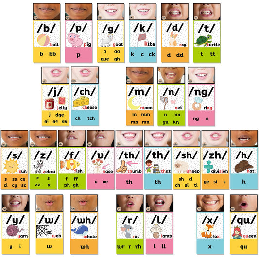 Ireer Bright Consonants Sound Wall for Classroom Neutral Phonics Kit, Science of Reading Posters for Classroom Decor, Kindergarten Speech Materials, Phonemic Awareness, Esl Teaching Material
