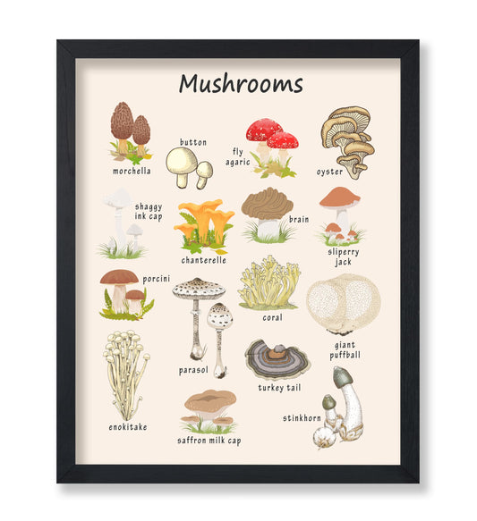 Poster Master Mushroom Print - Botanical Poster - Learning Materials Art - Educational Wall Design - Gift for Students & Teacher - Decor for Classroom, Library or Nursery - 8x10 UNFRAMED Wall Art