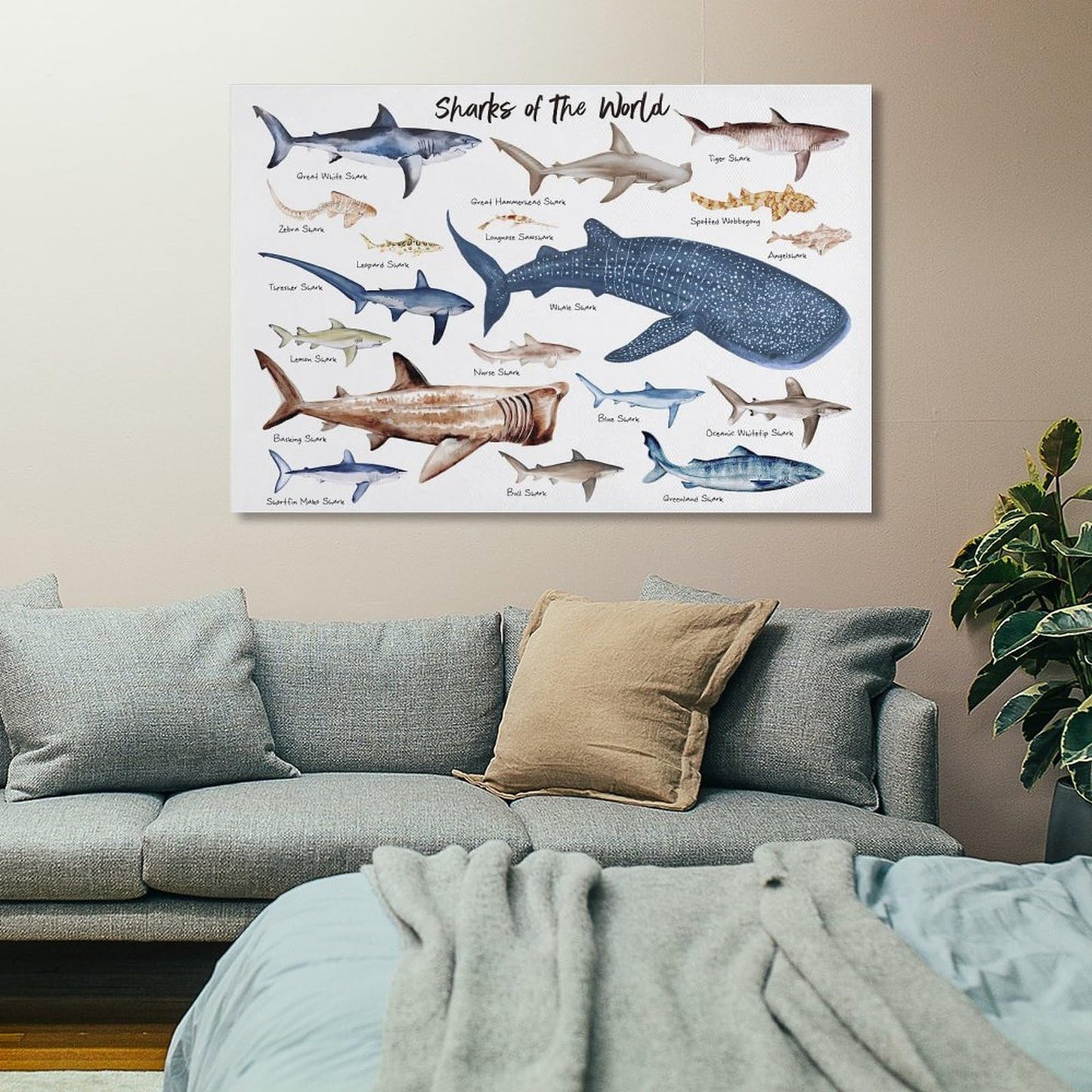 CZOURPVU Types of Shark Poster Shark Educational Chart Poster16x24inch(40x60cm)